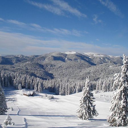 Vip Apartment Stenata Complex Pamporovo Kültér fotó