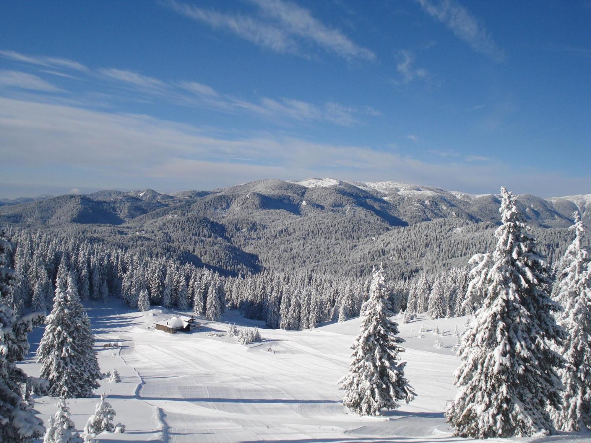 Vip Apartment Stenata Complex Pamporovo Kültér fotó